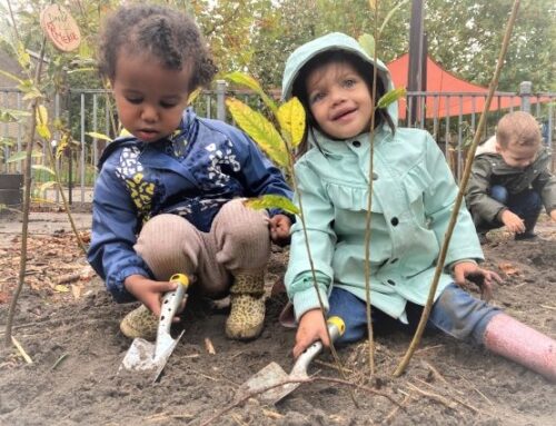 Een Tiny Forest voor Kinderopvang SKR